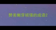 赞美嫩芽顽强的成语