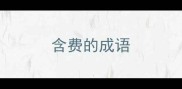 含费的成语