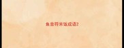 鱼音符米饭成语