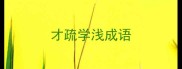 才疏学浅成语