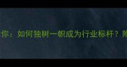 10个经典成语告诉你如何独树一帜成为行业标杆附详细与使用场景