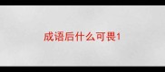 成语后什么可畏