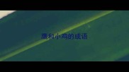 鹰和小鸡的成语