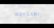 成语什么无影