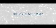 有什么无什么什么成语