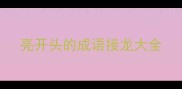 亮开头的成语接龙大全