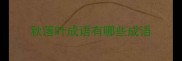 秋落叶成语有哪些成语