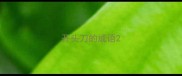开头刀的成语