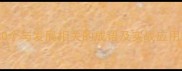 成语20个与发展相关的成语及实战应用技巧