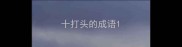 十打头的成语