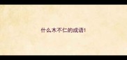 什么木不仁的成语