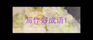 写作好成语