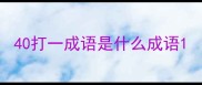 40打一成语是什么成语