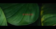 拔字的成语