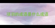 项羽的成语是什么成语