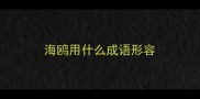 海鸥用什么成语形容