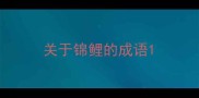 关于锦鲤的成语
