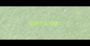 成语什么挤挤