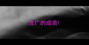 含广的成语
