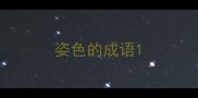 姿色的成语