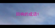 回响的成语