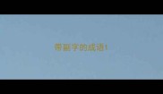 带副字的成语