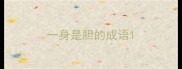 一身是胆的成语