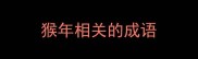 猴年相关的成语