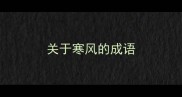 关于寒风的成语