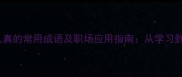 20个表示做事认真的常用成语及职场应用指南从学习到实践的全攻略