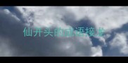 仙开头的成语接龙