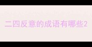 二四反意的成语有哪些