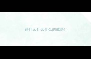 诗什么什么什么的成语