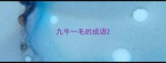 九牛一毛的成语