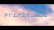 寿什么什么什么的成语