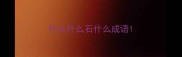 什么什么石什么成语