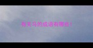 有关马的成语有哪些