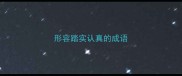 形容踏实认真的成语