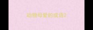 动物母爱的成语