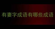 有妻字成语有哪些成语