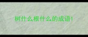树什么根什么的成语