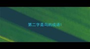 第二字是鸟的成语