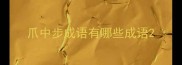 爪中步成语有哪些成语