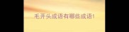 毛开头成语有哪些成语