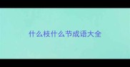 什么枝什么节成语大全