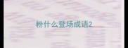 粉什么登场成语