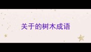 关于的树木成语