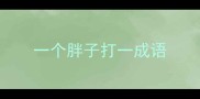 一个胖子打一成语
