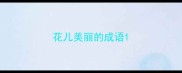 花儿美丽的成语