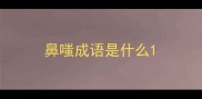 鼻嗤成语是什么